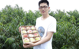 世俱杯app官方和蜜桃哥走过了三年·····