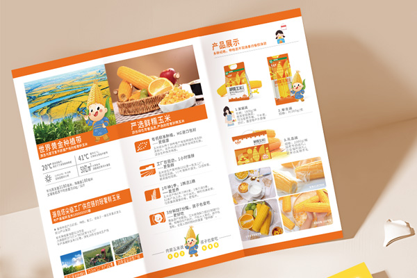 玉米说宣传折页设计